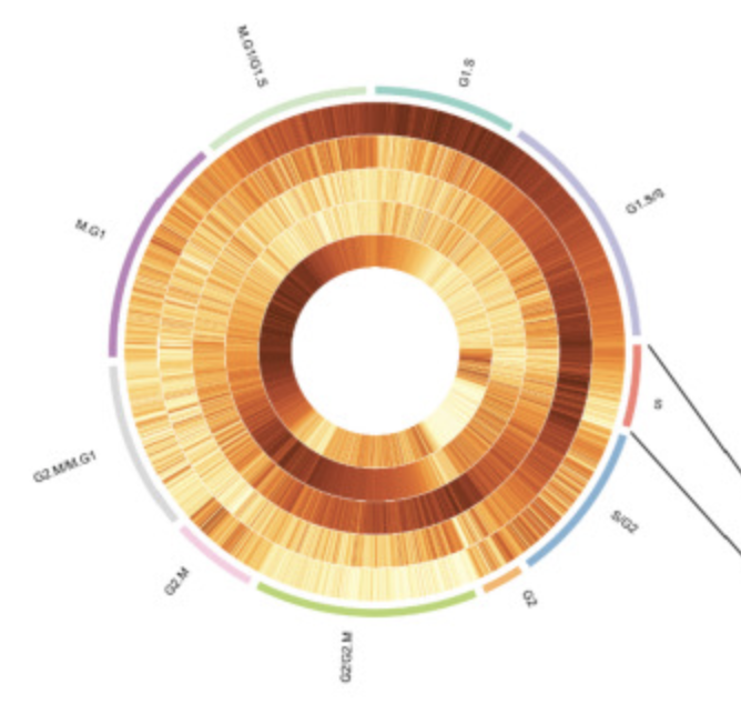 Single-cell Analysis Reveals Inter- and Intratumour Heterogeneity in Metastatic Breast Cancer